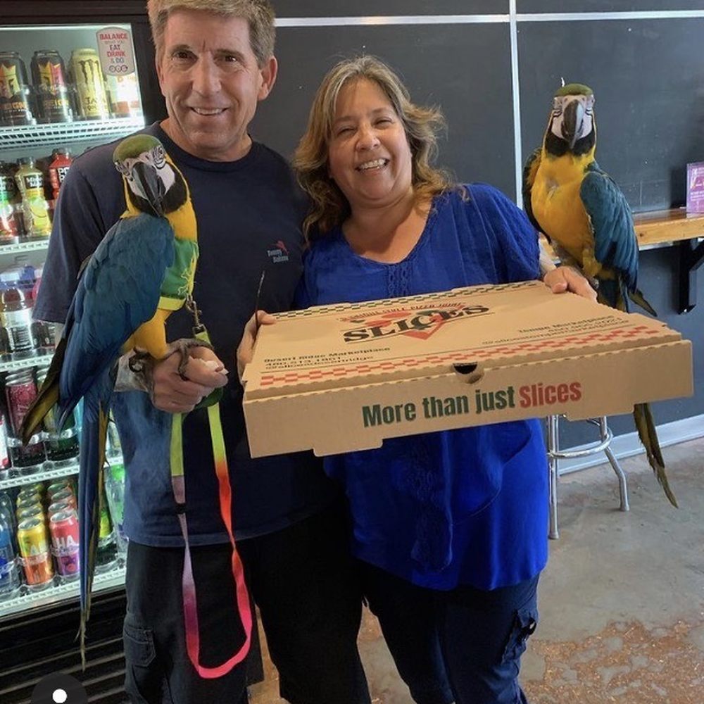 Slices - The Cotter's with our free Vegan Pizza - Pizza Near Me - Tempe, Arizona
