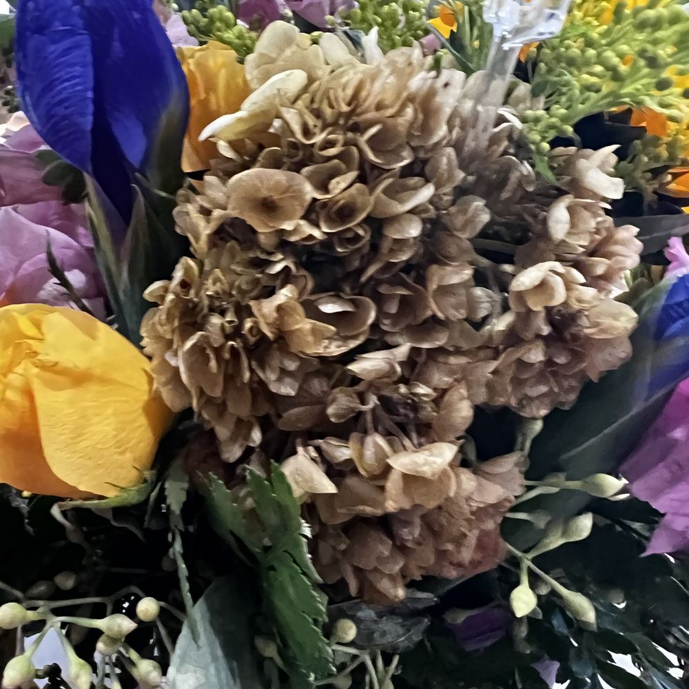 Flowers In Leominster Ma Best Flower Site