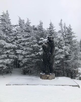 Stratton Mountain Resort by null