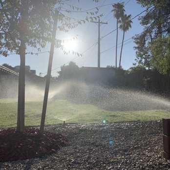 Urgent Care Tree & Lawn - Sprinklers in the morning sun - Tree Services Near Me Urgent Care Tree & Lawn - Sprinklers in the morning sun - Tree Services Near Me