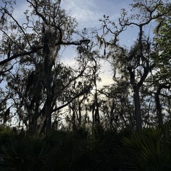 Cradle Creek Preserve - Parks Near Me - Jacksonville Beach, Florida
