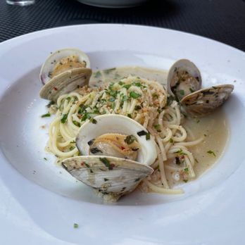 Arya Trattoria - Clam spaghetti - Italian Near Me - Boston, Massachusetts Arya Trattoria - Clam spaghetti - Italian Near Me - Boston, Massachusetts