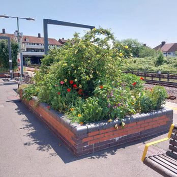 Preston Road Tube Station - Plartform Garden - Public Transportation Near Me - Wembley, XGL