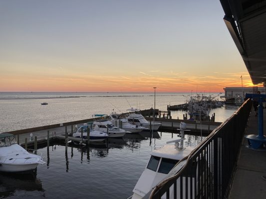 McElroy's Harbor House by null