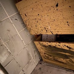 Tuffy’s Sewer & Drain