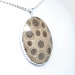 Petoskey Stones