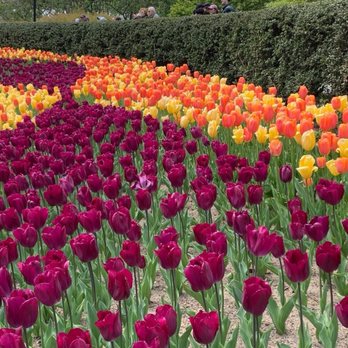The Conservatory Garden - Parks Near Me - New York, New York The Conservatory Garden - Parks Near Me - New York, New York
