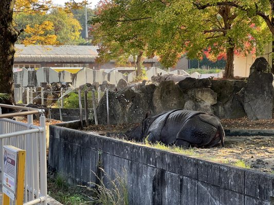 Higashiyama Zoo and Botanical Gardens by null