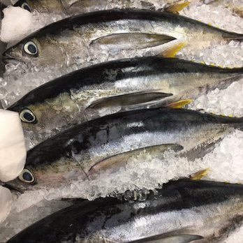 The Marketplace - Tiny Ahi. Maybe these should have been left to get bigger. - Farmers Market Near Me - Honolulu, Hawaii The Marketplace - Tiny Ahi. Maybe these should have been left to get bigger. - Farmers Market Near Me - Honolulu, Hawaii