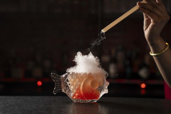 Singing Tiger by null