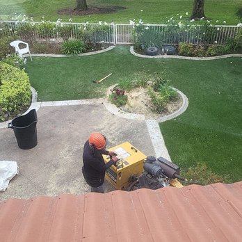 So Cal Pruners - During - Tree Services Near Me So Cal Pruners - During - Tree Services Near Me