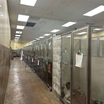 PetSmart - Moldy, overly fragranced, not even a dog bed - Pet Stores Near Me - Mesa, Arizona