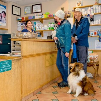 Small Creatures Pet Clinic - Photo - Veterinarians Near Me - Langley, British Columbia Small Creatures Pet Clinic - Photo - Veterinarians Near Me - Langley, British Columbia