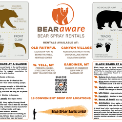 Bear Aware