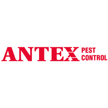 Antex Pest Control - Pest Control Near Me - Plaistow, New Hampshire Antex Pest Control - Pest Control Near Me - Plaistow, New Hampshire