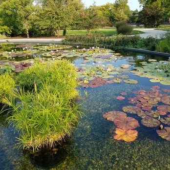 Garfield Park Conservatory - Parks Near Me - Chicago, Illinois