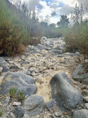 Eaton Canyon Falls by null