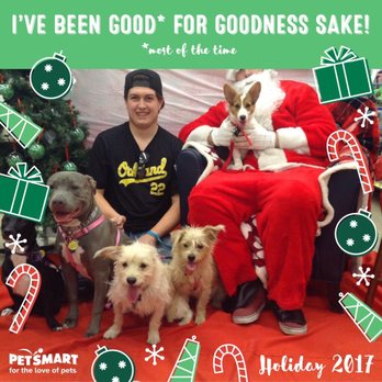 PetSmart - Pet Stores Near Me - Phoenix, Arizona PetSmart - Pet Stores Near Me - Phoenix, Arizona