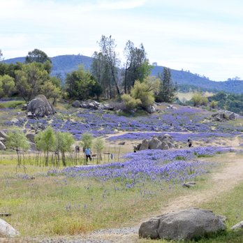 Folsom Lake - Recreation Centers Near Me - Pilot Hill, California