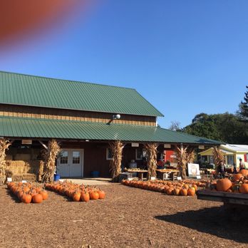 Schuster's Farm - Pumpkin Patches Near Me - Deerfield, Wisconsin