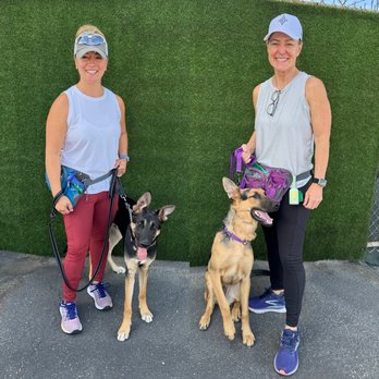 Dog On Fun - Pet Sitting Near Me - Covina, California