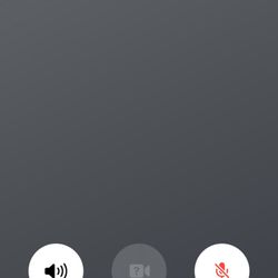 Domino's Pizza - Placed on hold on purpose, 30 minutes total.