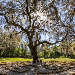 The Guest House Ocala