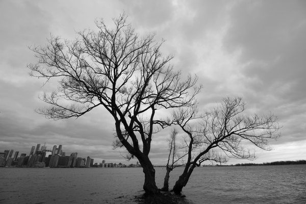 Toronto Island Park Olympic Island by null