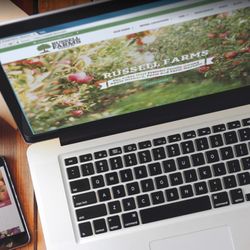 Edmonds Web Design