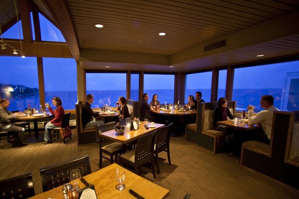 Bluefin Grille by null