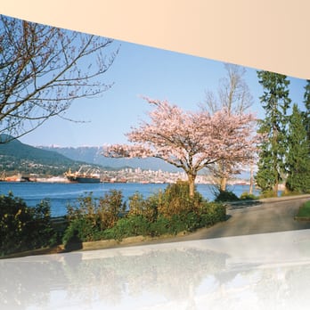 Treasure-Book Printers - Or order a fantastic Framed Canvas Print (Gallery Wrap) from one of your favorite photos.....Many sizes available to order... - Photography Stores & Services Near Me - Surrey, British Columbia