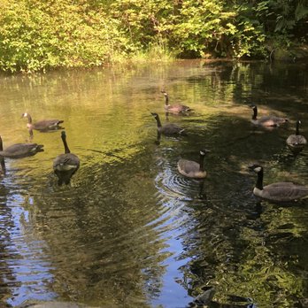 Stanley Park - Parks Near Me - Vancouver, British Columbia Stanley Park - Parks Near Me - Vancouver, British Columbia