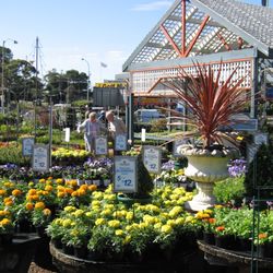 Flower Power Garden Centre Taren Point