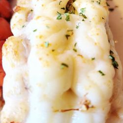 LOBSTER