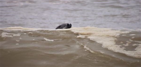 Ballston Beach by null