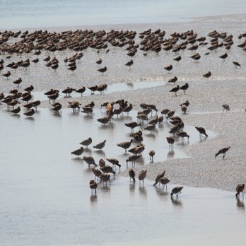 Arcata Marsh Interpretive Center - During low tide. - Museums Near Me - Arcata, California