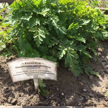 Community Roots Garden - Botanical Gardens Near Me - Oxnard, California