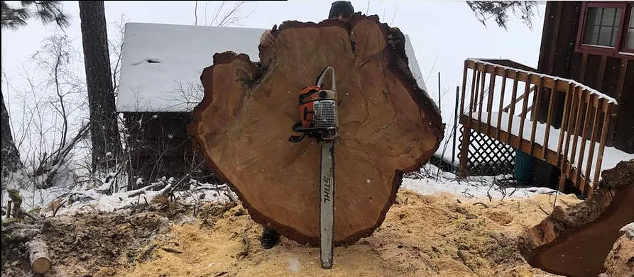 Headwaters Tree Care - tree service in Missoula, MT