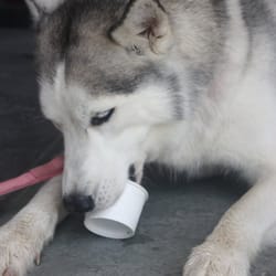 YUM !!