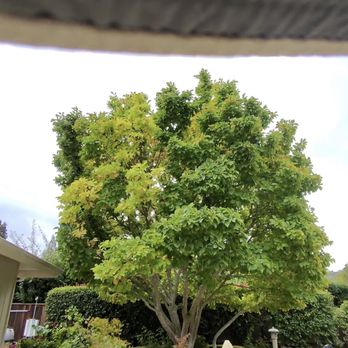 Prime Roots Landscape - Lawn Services Near Me Prime Roots Landscape - Lawn Services Near Me