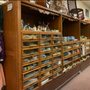 Photo of Schroeder's Department Store