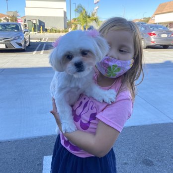 Happy Pet Grooming - Luna with my daughter - Pet Groomers Near Me - Anaheim, California