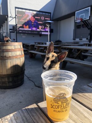 Scofflaw Brewing Co. by null