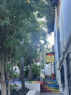 Planeta Vegetariano by null