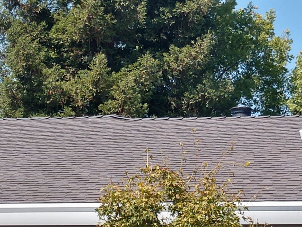 Slide of Alta-Cal Roofing