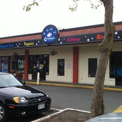 Creatures Pet Store
