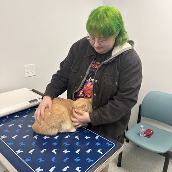 AcutePet Urgent Care - My cat gnocchi being so brave - Veterinarians Near Me - Bellevue, Kentucky AcutePet Urgent Care - My cat gnocchi being so brave - Veterinarians Near Me - Bellevue, Kentucky
