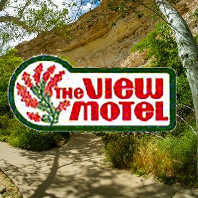 The View Motel by null