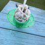 M&K Sno Cones