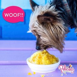 Pelican's SnoBalls of Oxford - AL